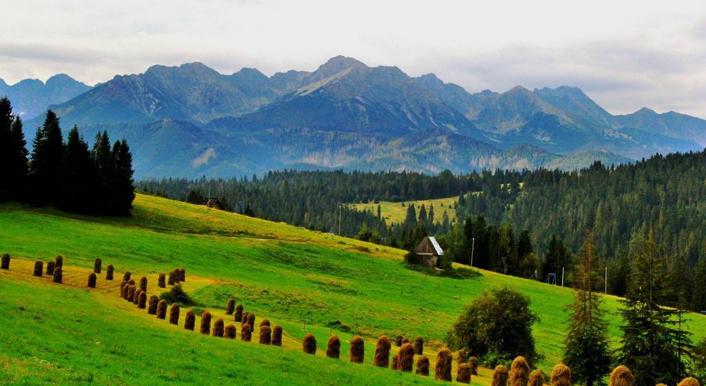 Villa Lypche Bešeňová Exteriér fotografie